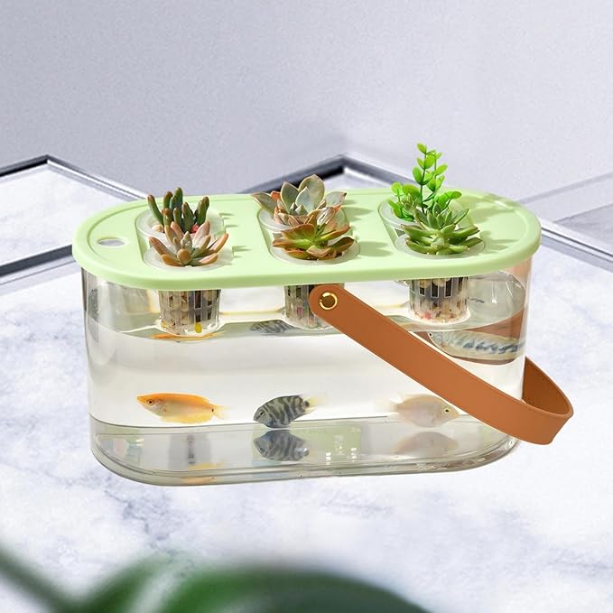 MYCENSE Hydroponics Grower Box Hydroponics Tool with 6 Holes Hydroponic System Growing Box Indoor Tabletop Mini Aquarium for Indoor Green