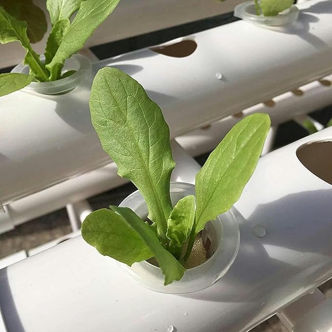 System of Hydroponic Culture of 2 Layers of 36 Plants 4 -Pipe Water Cultivation System Hydroponic Culture Kit for Leafy Vegetables Lettuce Zacate Celery 1 Piece