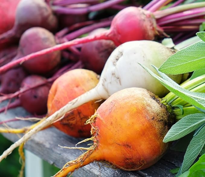 Beet Seeds for Planting - Plant &amp Grow Heirloom Beet Varieties Home Outdoor Vegetable Garden – Easy Grow Planting Packets Beta vulgaris – 5 Packets of Each Variety