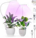 Full Spectrum Grow Lights for Indoor Plants Clip On Plant Lights for Indoor Growing with 4/8/12H Timer 3 Light Modes 10 Dimmable Levels Adjustable Gooseneck Remote Control 2-Pack