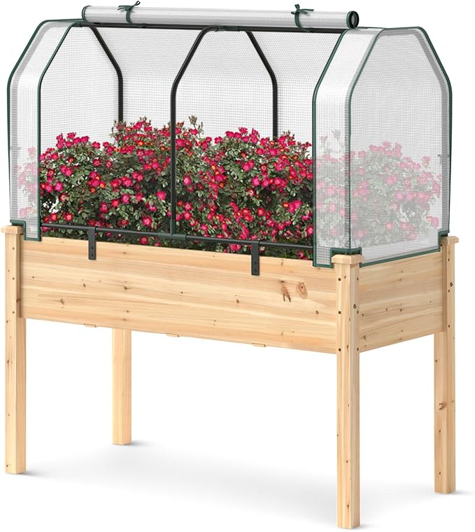 Raised Garden Bed with Greenhouse Cover Elevated Wooden Planter Box Outdoor Gardening Planting Bed for Vegetables Flowers &amp Herbs Grow Backyard Patio Lawn (White+Natural)