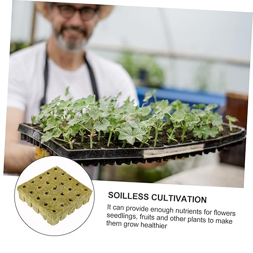 BESPORTBLE 75pcs Soilless Starter Plugs Plant Rooting Blocks Nutrients for Vegetable Flower Gardens
