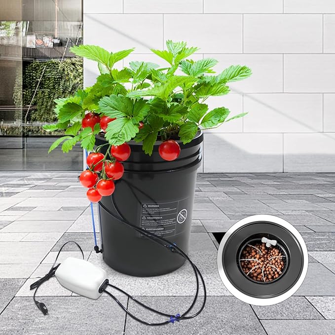 DWC Hydroponics Growing System 5-Gallon Deep Water Culture Recirculating Drip Garden System with Multi-Purpose Air Hose Air Pump and Air Stone (1 Bucket + Reservoir Kit)