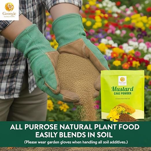 Mustard Oil Cake Powder – All-Purpose Natural Fertilizer for Flowers Vegetables Herbs Fruit Trees &amp Plants – Natural Cold-Pressed Plant Food and Soil Conditioner – Booster for Lush Growth (3 lb