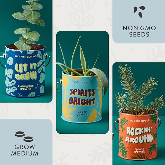 Modern Sprout Complimentary Seed Starter Grow Kits - Spruce Eucalyptus &amp Agave Seeds - Plant &amp Gardening Gifts that Grows with Love (Pack of 3)