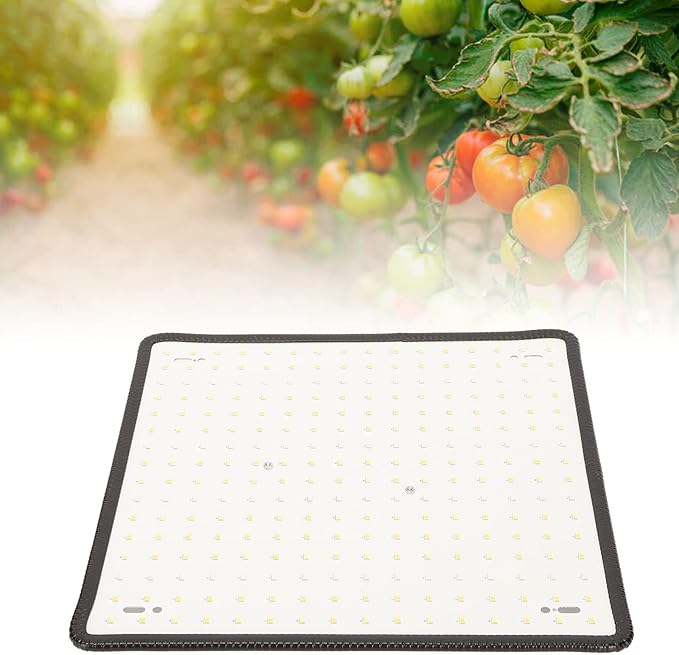Grow Light 1000W LED Grow Light Professional Red and Blue Spectrum Plant Light for Indoor Plants Greenhouse 85‑265V(US)