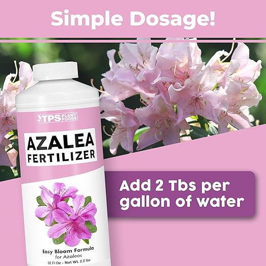 Azalea Fertilizer for Evergreen Shrubs Azalea Rhododendron and Camellias Liquid Plant Food 32 oz (1 Quart)