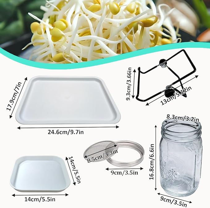 Seed Sprouting Kit 2 Large 1000ML Wide Mouth Mason Jars with Sprout Lids Drain Tray Stainless Steel Stand Cleaning Brush Sprouts Growing Kit for Sprouts Bean Broccoli