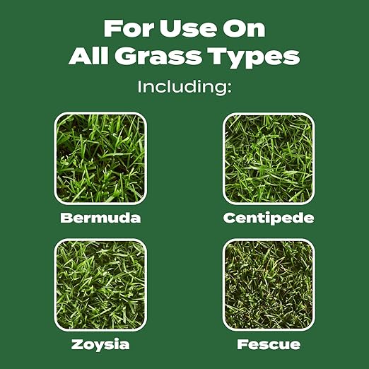 Scotts Turf Builder Lawn Food - Fertilizer for Grass For All Grass Types 5000 sq. ft. 12.5 lb.