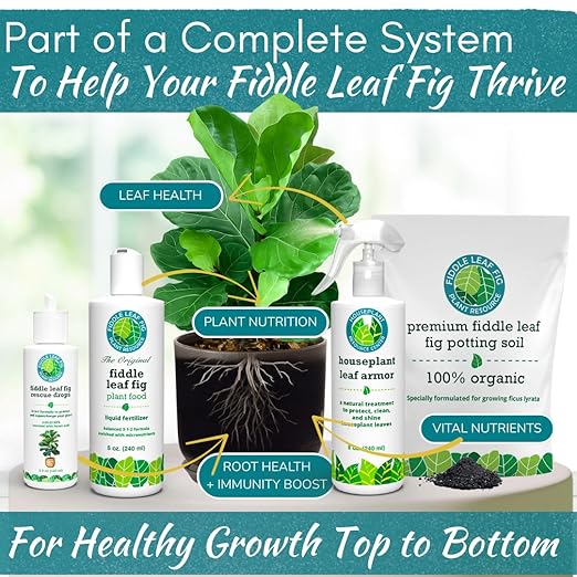 Fiddle Leaf Fig Rescue Drops – Treats Root Rot Brown Spots Leaf Drop &amp Stress | Immune Boosting Liquid Formula Concentrate | Easy to Use | Safe for All Tropical Plants | 3.3 oz | Made in USA