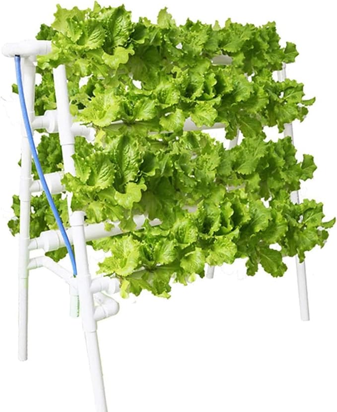 Hydroponic Site Grow Kit Hydroponic Growing System Water Culture Garden Plant System for Leafy Vegetables /1PC