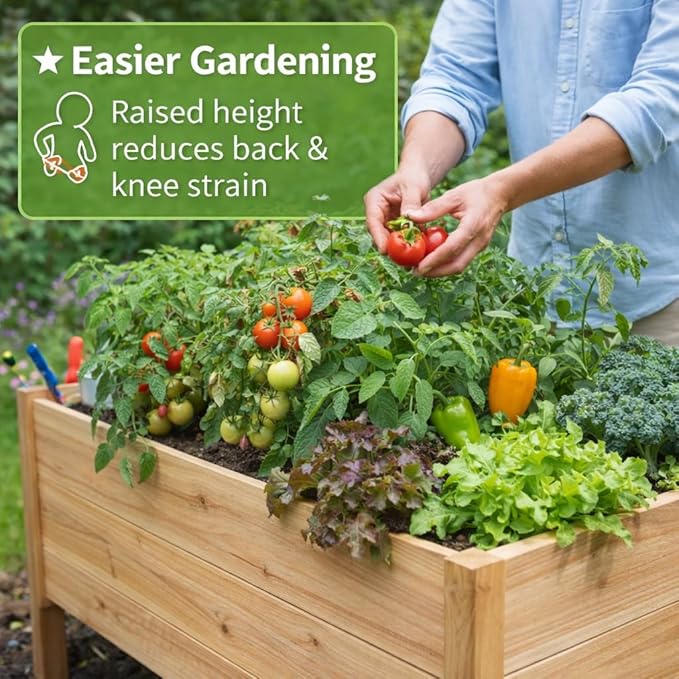 Tall Cedar Raised Garden Planter Box with Legs – Elevated Design for Comfortable Gardening Custom Sizes for Home Patio &amp Commercial Use (36 L x 18 W x 25 H)
