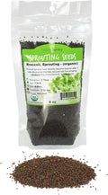 Organic Broccoli Sprouting Seeds by Handy Pantry | 8 oz. Resealable Bag | Non-GMO Broccoli Sprouts Seeds Contains Sulforaphane