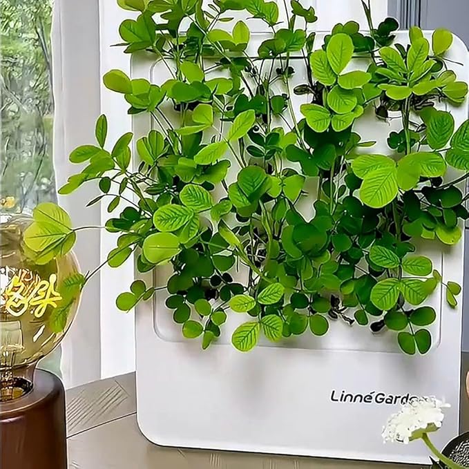 Indoor Garden Hydroponic System with LED Grow Light Indoor herb Garden Indoor Garden Hydroponic System with LED Grow Light (Gery)