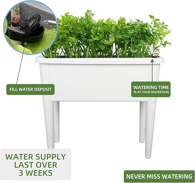 Dexceder 13.2 Gallon Self Watering Raised Garden Bed with Ventilation Transparent Lid Greenhouse Deepen Vegetable Flower Box Planter Pot with Removeble Legs &amp Water Level Indicator (White)
