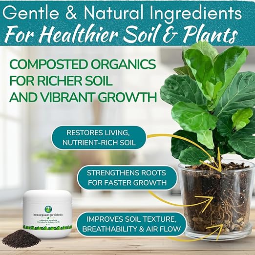Houseplant Soil Conditioner &amp Probiotic – Organic Growth Booster (1-1-4) for Rejuvenating Tired Plants | Improves Soil Structure &amp Nutrient Availability for Stronger Roots &amp Fuller Leaves