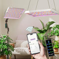 LETPOT 100 Watt (Max 120W Output) Grow Lights for Indoor Plants Full Spectrum Smart APP 8-Level Adjustable Light Hanging &amp Standing 270° Foldable 360° Rotation 2x33x418000 Lumens High ppf
