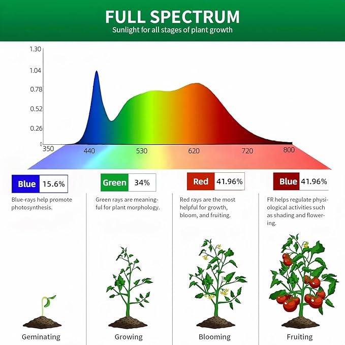 Table Top Grow Light for Indoor Plants – Decorative Desk Plant Light for Succulents Bonsai Cactus Adjustable Desktop Grow Lights with Base Cute Office Mini Grow Lamp
