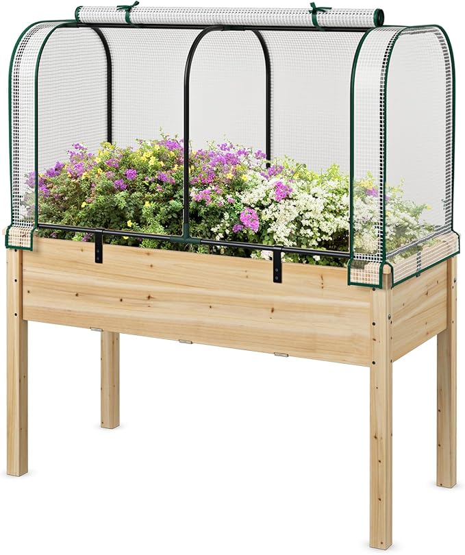 Happygrill Raised Garden Bed with Greenhouse Cover Raised Bed with Legs &amp Drainage Holes for Herbs Vegetables Outdoor Wood Elevated Planter Box for Patio Backyard Balcony (White+Natural)