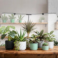 Sondiko Tall Full Spectrum Grow Lights for Indoor Plants LED Grow Light with Automatic Timer 9-Level Dimmable Adjustable Lamp Angle Plant Lights for Indoor Growing