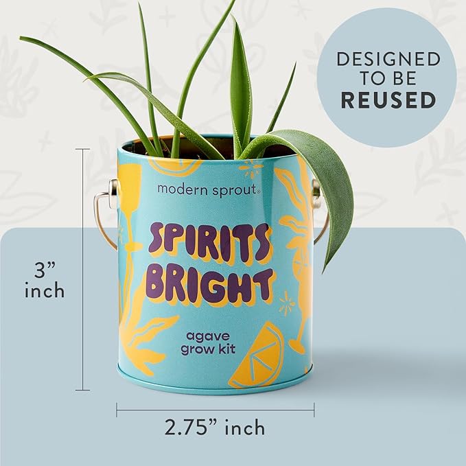 Modern Sprout Complimentary Seed Starter Grow Kits - Spruce Eucalyptus &amp Agave Seeds - Plant &amp Gardening Gifts that Grows with Love (Pack of 3)