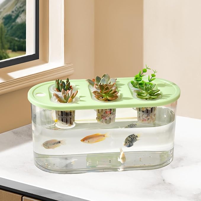 Hydroponics Grower Box Desktop Micro Landscape Tank with 6 Holes Indoor Tabletop Mini Aquarium for Vegetables Plants and Fish- Green