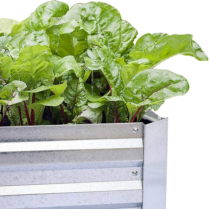Galvanized Raised Garden Beds for Vegetables Large Metal Planter Box Steel Kit Flower Herb 8x4x1ft