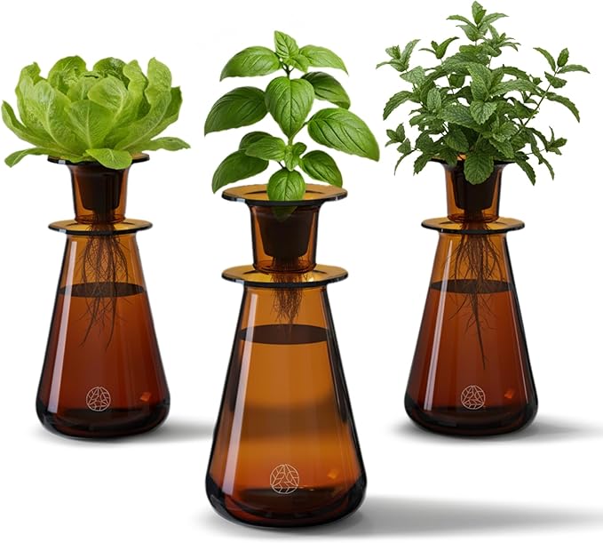 Counterstand Set – Vase Plant for Indoor Edible Garden Kit for Herbs &amp Lettuce – Small-Space Hydroponic System – Home Decor &amp Gifting – No Glow Lamp