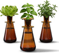 Counterstand Set – Vase Plant for Indoor Edible Garden Kit for Herbs &amp Lettuce – Small-Space Hydroponic System – Home Decor &amp Gifting – No Glow Lamp