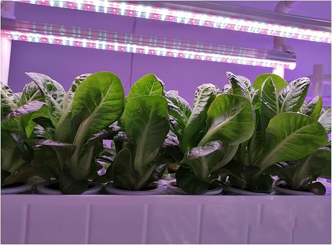 Hydroponic Tower Growing Sytem Hydroponics Growing Indoor Smart Vertical Garden Kit Automatic Grow Lights Planter for Home Kitchen Easy to
