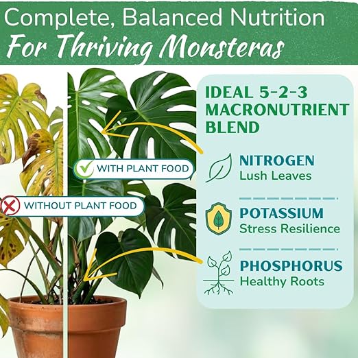Monstera Plant Food - Premium Nutrient Rich Liquid Fertilizer (5-2-3 NPK) for Monstera Deliciosa &amp Other Tropical Plants | Supports Strong Roots &amp Large Lush Leaves | Safe Gentle Easy-to-Us
