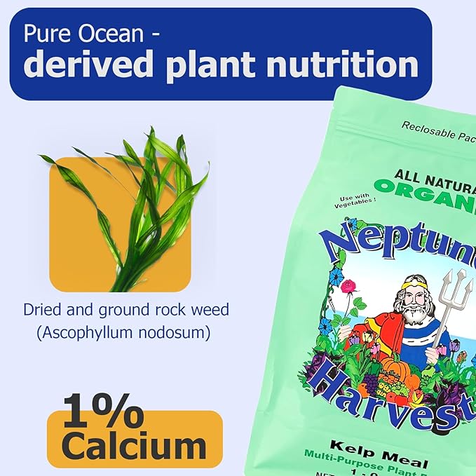 Neptune’s Harvest Organic Kelp Meal Plant Food (1-0-2) - 12 lb Resealable Bag - Multi-Purpose Seaweed Fertilizer - Indoor &amp Outdoor Plant Fertilizer for Lawns Gardens Vegetables &amp Bulbs
