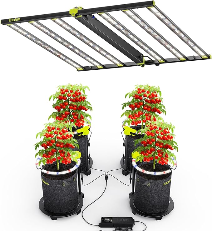 620W LED Grow Lights Kit Commercial Full Spectrum Bar Style LED Grow Lamp with 96W Under-Canopy Grow Light 4x4ft Coverage Growing Lamp for Hydroponics Greenhouse