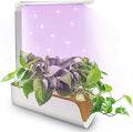 System of Hydroponic Culture of Interior House Cultivation Light Retractable Light Post Automatic Filling Light Interior Herbal Kit Suitable for Planting
