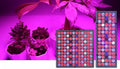 LED Grow Light 25W 45W Full Plant Lights AC85-265V Plant Panel Lamp for Greenhouse Hydroponics Flowers Vegetables(25W 75LEDs1)