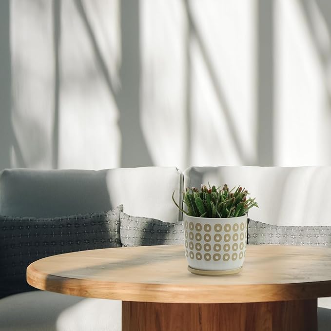 Generic 8 Circles Planter W Saucer White