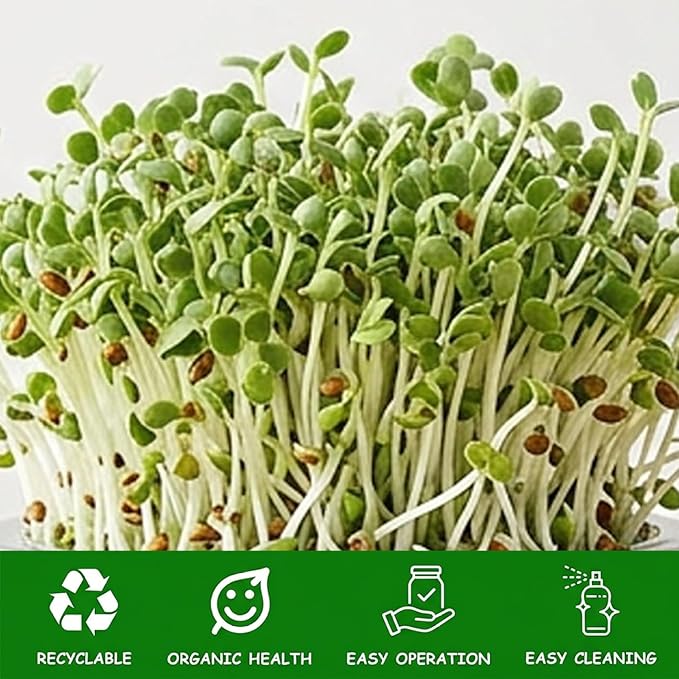 Sprouting Jar Kit Complete Seed Sprouting Jar Kit with Stainless Steel Stand &amp Drip Tray Easy Home Sprout for Microgreens Beans Broccoli