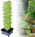 Hydroponic Growing Kits Garden Hydroponics Growing System ｜Hydroponics Growing System for Indoor HerbsFruits and Vegetables Aeroponic Tower Seeding Bed Net Pots