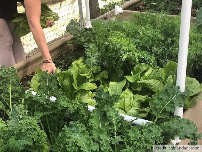 Grassroots Fabric Pots Raised Beds (3' x 6' w/Trellis)