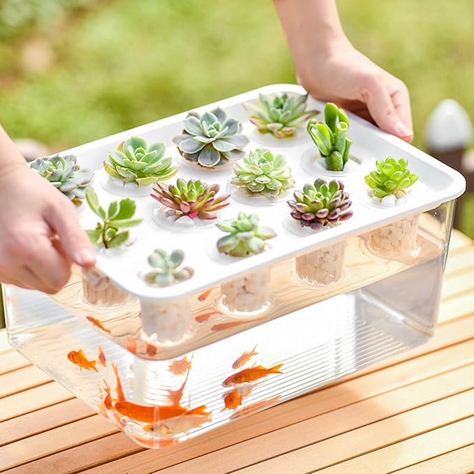 Modern Hydroponic Growing Setup Container Featuring Viewing Window for Home Vegetables Plant Progress Plant Growing Greenhouse Container