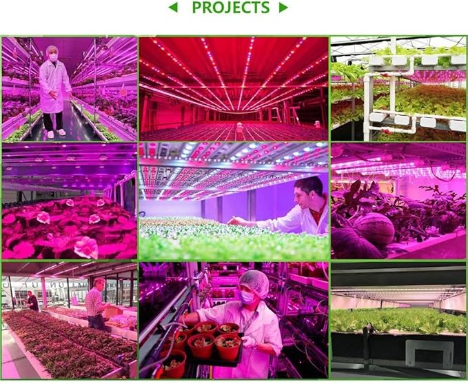 Fengyan Landscape Lights 5050 Led Grow Light Phyto Lamp for Plants Led Strip for Plants Grow Phytolamp for Seedlings Phyto Lamp for Plants Growing Growth LED Street Lamp