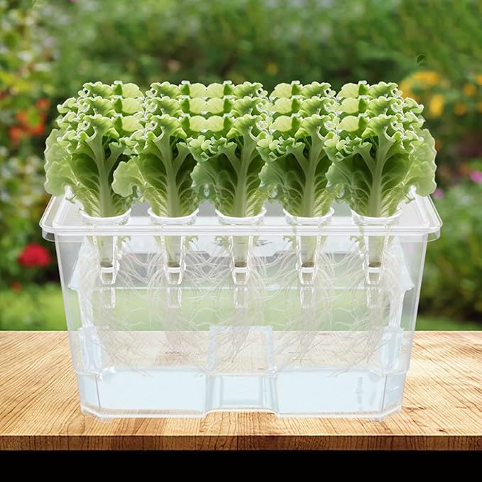 Hydroponic Growing Box Soilless Cultivation System ABS Hydroponics Plant Growth System Household Propagation Box Easy Setup for Home and Small Farm Growing