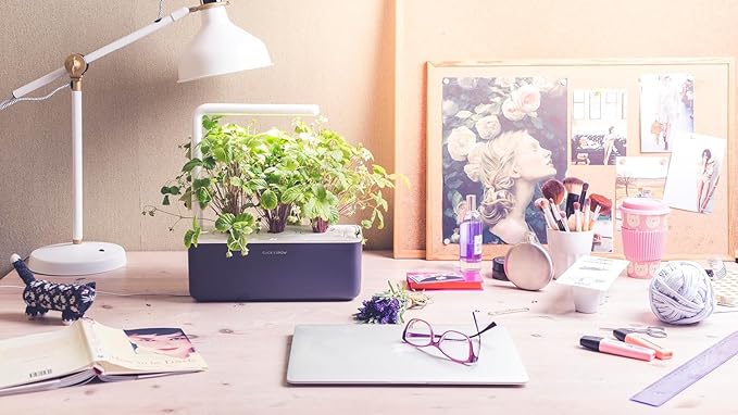 Click &amp Grow Indoor Herb Garden Kit with Grow Light | Smart Garden for Home Kitchen Windowsill | Easier Than Hydroponics Growing System | Vegetable Gardening Starter (3 Basil Pods Included) Grey