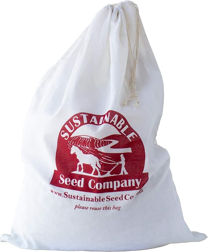 Truckers Favorite White Corn Seeds - 25 LB Bulk ~32000 Seeds - Non-GMO Open Pollinated Heirloom Vegetable Gardening Seed