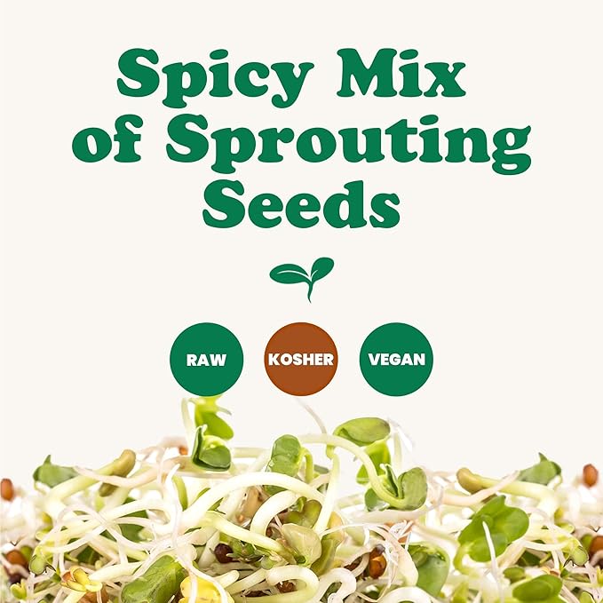 Food to Live - Spicy Mix of Sprouting Seeds 1 Pound - Broccoli Radish Alfalfa Kosher Raw