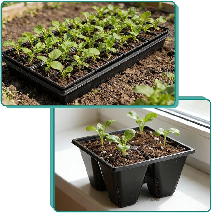 80 Pack Reusable 4-Cell Seed Starter Tray for Seedlings Easy Watering Seed Starting Trays with Drainage Holes for Seed Germination and Plant Start Fits Standard 1020 Trays Black