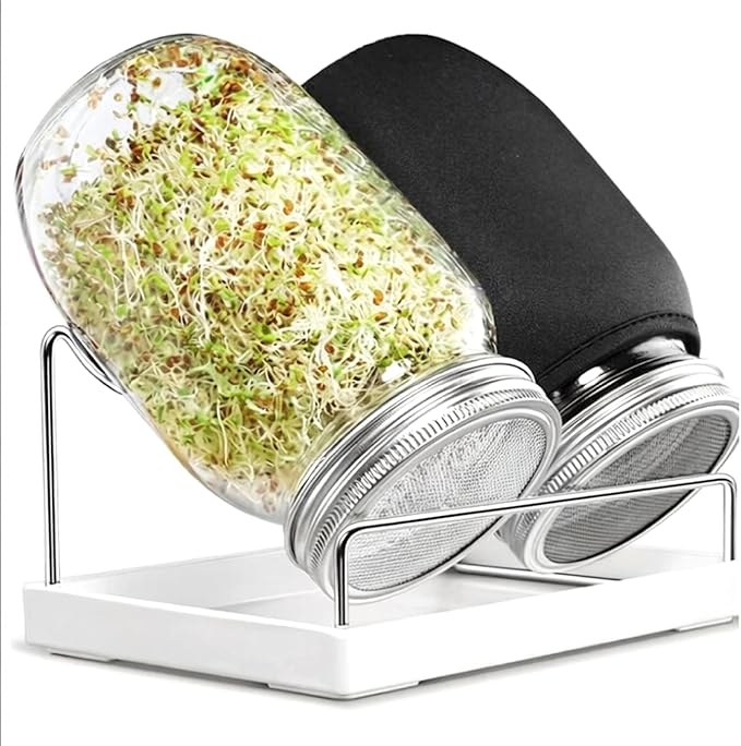 Wide Mouth Sprouting Jar Kit with Stainless Steel Mesh Lids Drip Tray and Stand for Broccoli Mung Bean &amp Alfalfa Sprouts Growing Kit