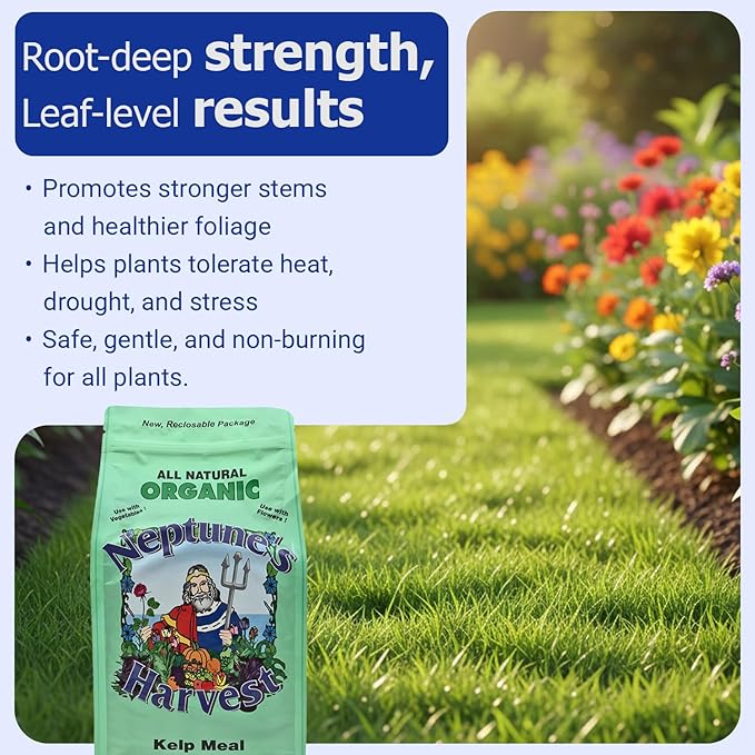 Neptune’s Harvest Organic Kelp Meal Plant Food (1-0-2) - 4 lb Resealable Bag - Multi-Purpose Seaweed Fertilizer - Indoor &amp Outdoor Plant Fertilizer for Lawns Gardens Vegetables &amp Bulbs