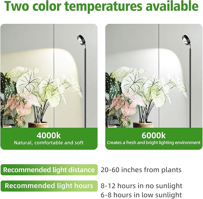 20W Full Spectrum Grow Light Warm White 3000LM High PPFD&ampCRI COB LED Floor Lamp with 6/8/12H Timer Adjustable Height (28-83) &amp Angle Grow Lights for Indoor Plants Succulents &amp Flower