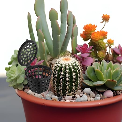 Happyyami 100Pcs Fertilizer Baskets Plastic Portable- Fertilizer Orchid Basket Fertilizer Mesh Basket with Lid Bonsai Fertilizer Box